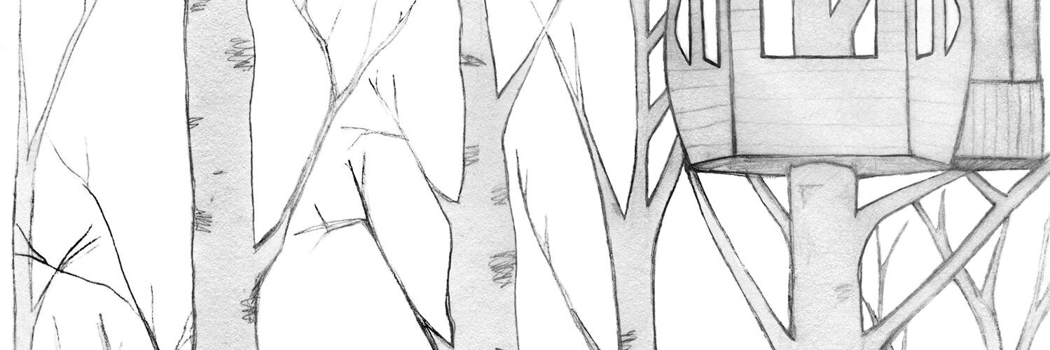 fiddlebird's profile banner image
