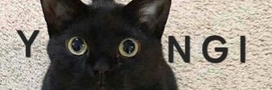 branchesraquel's profile banner image