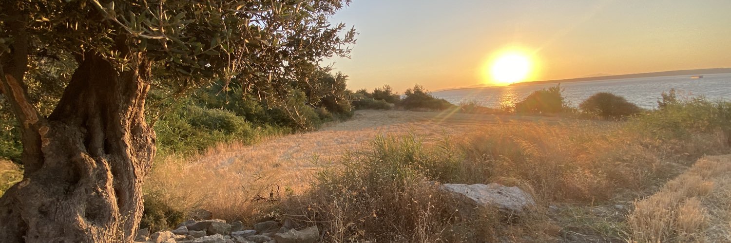 birmuratcelik's profile banner image