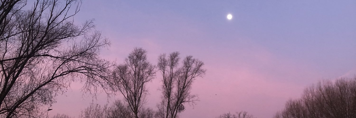XVXlalala's profile banner image