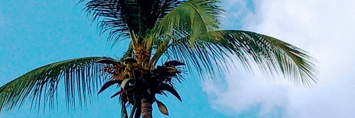Neo. Joaquin Fábregas banner