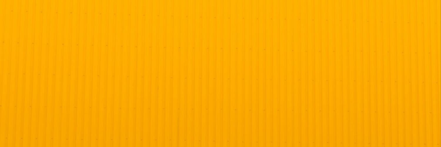 Hayley Ramsay-Jones banner