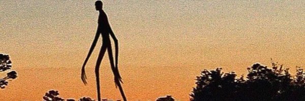 1337nugs Profile Banner
