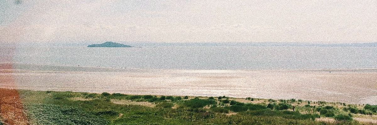 fisshtaco's profile banner image