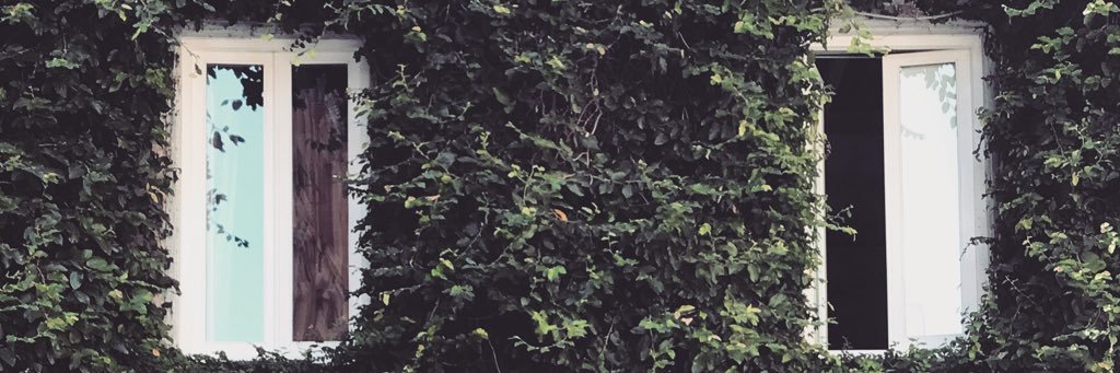 EmyZ's profile banner image