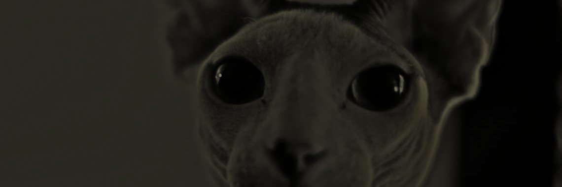 timdaydj's profile banner image
