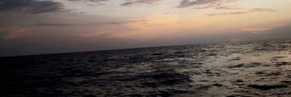 TrejoKry's profile banner image