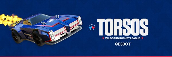 TorsosRL Profile Banner
