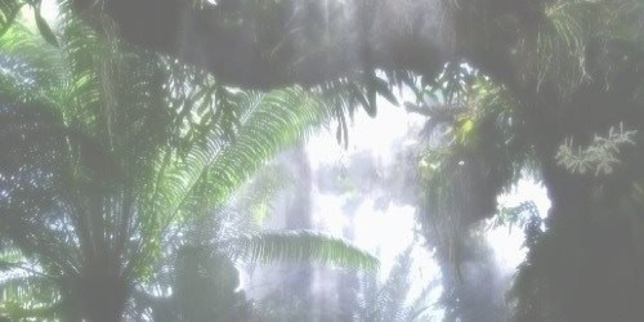 LydiaParksxHA's profile banner image