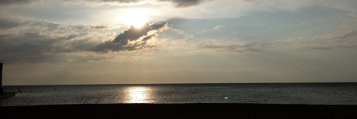 whsjes's profile banner image