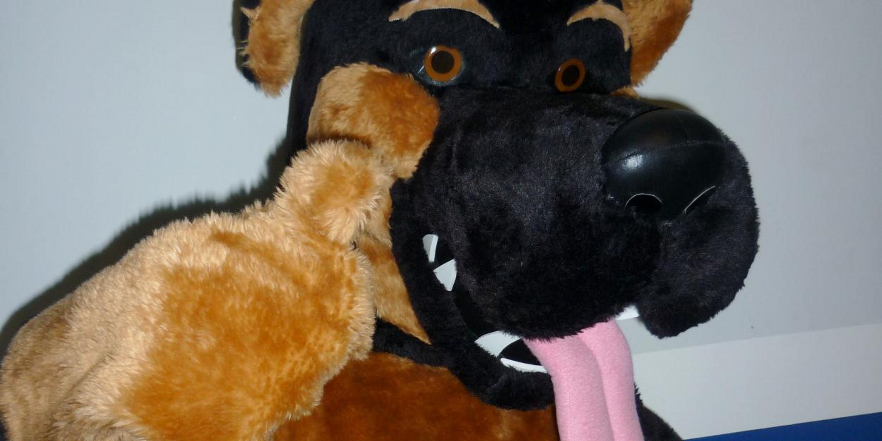 Masqueradesents's profile banner image