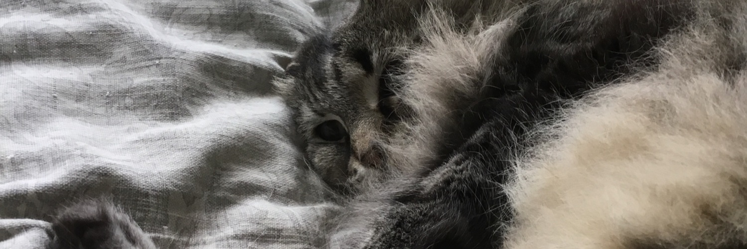 crowbiddy's profile banner image