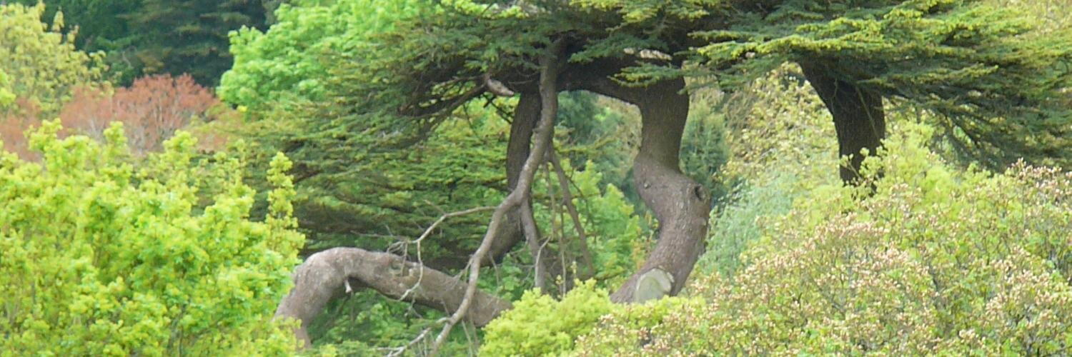 CorkAdventure's profile banner image