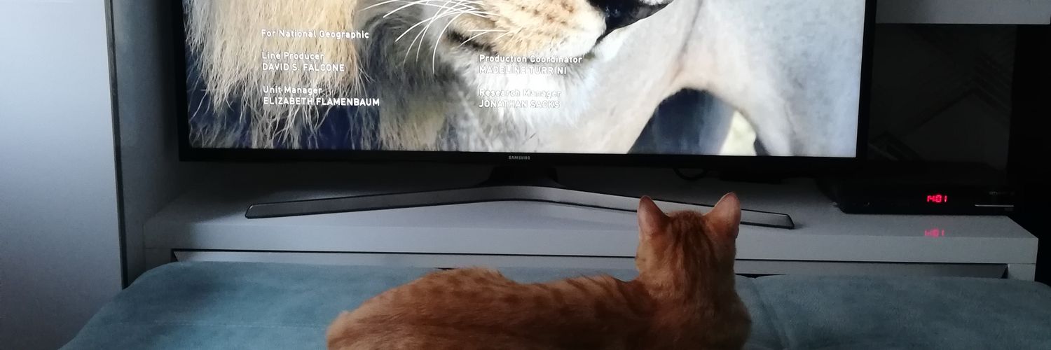 museecam's profile banner image