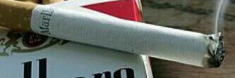 kwt_31's profile banner image