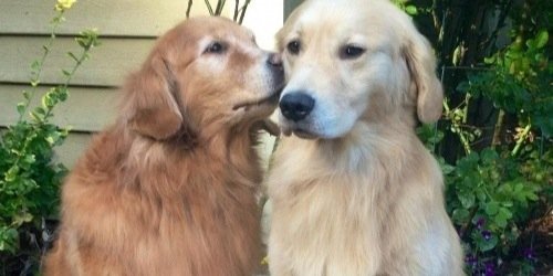 vimanix's profile banner image