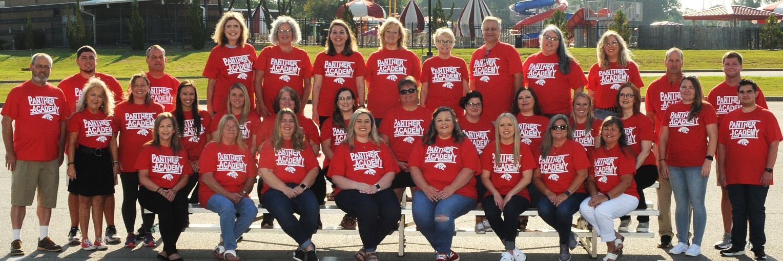Cabot Panther Academy banner