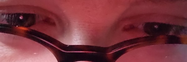 DylanGott Profile Banner