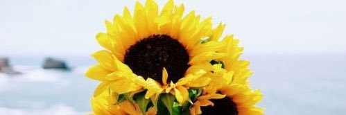 a l i  g e r a r d banner