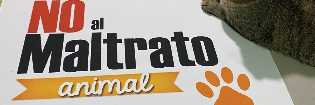 petite banner