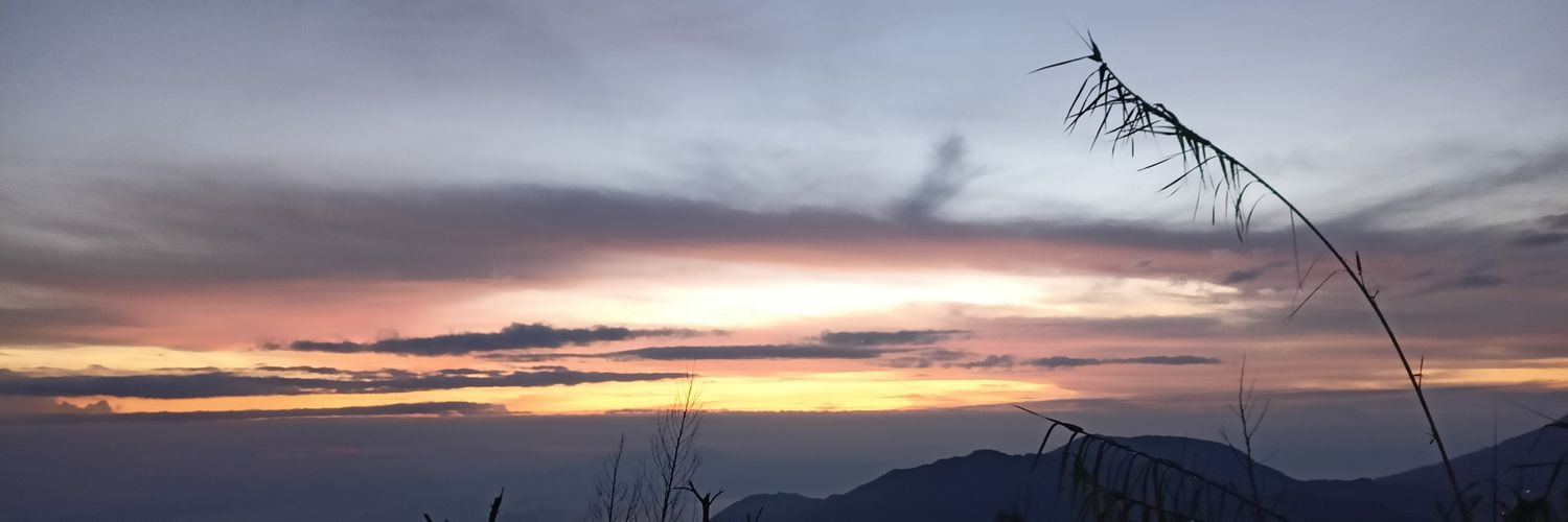 ariasty_96's profile banner image