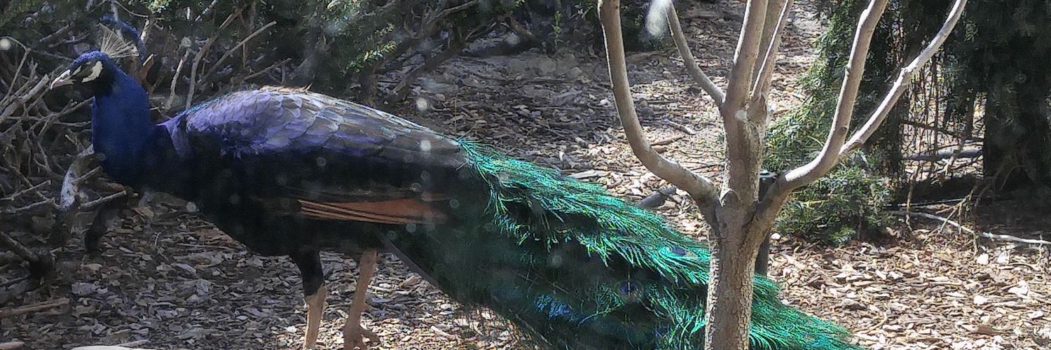 kettyt21's profile banner image
