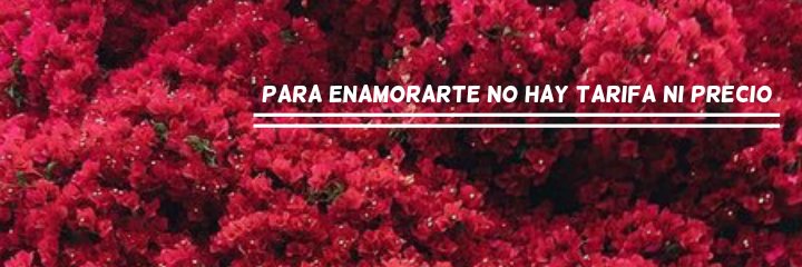 FreddyMyBato's profile banner image