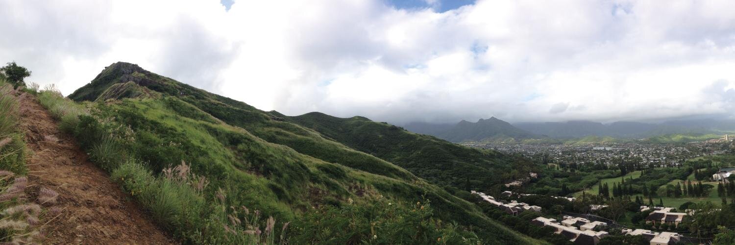 Madison Zyluk banner