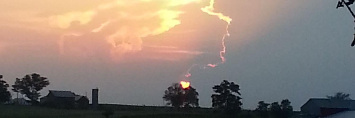 CattoLorie's profile banner image