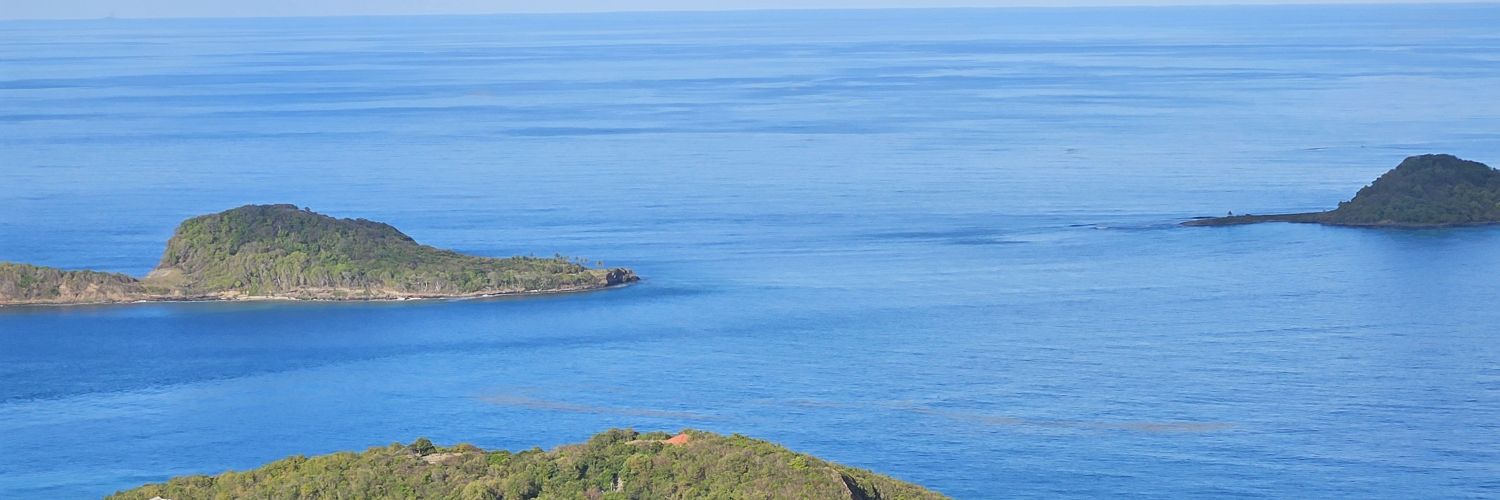 Nyca24's profile banner image