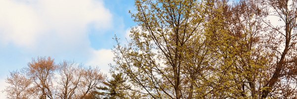 taraaarmstrong Profile Banner