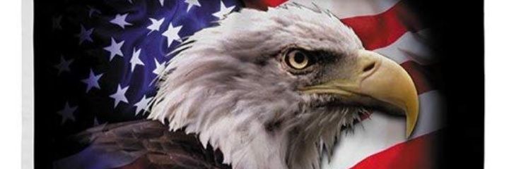 Cult45kag's profile banner image
