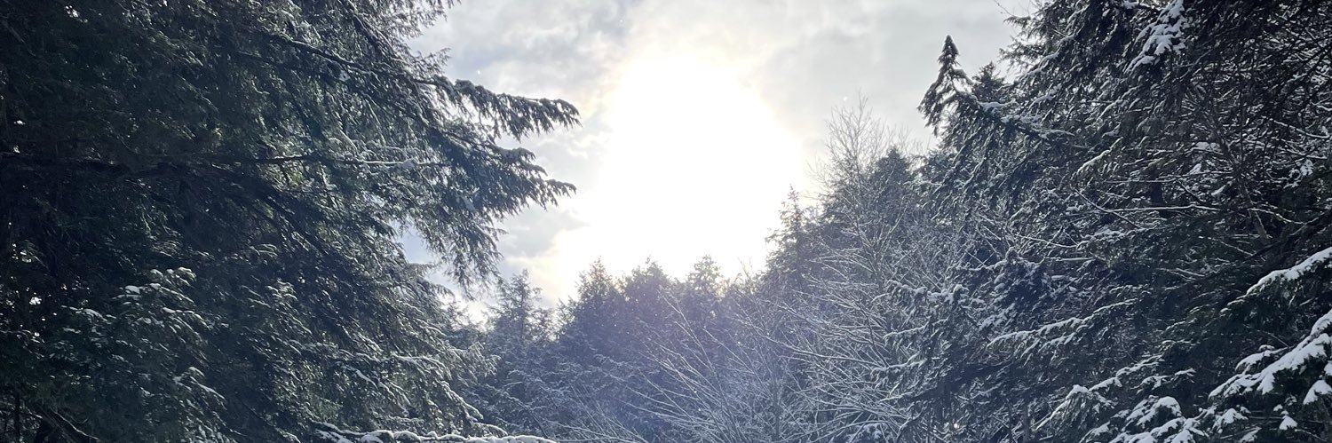 marciejoyce's profile banner image