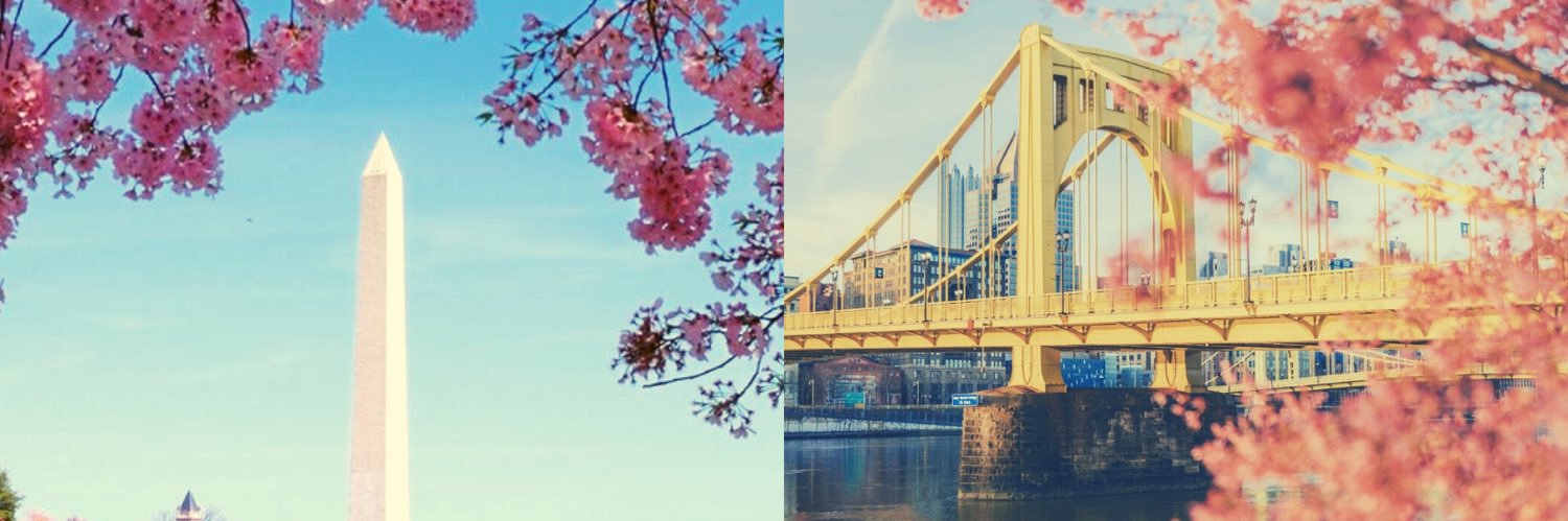 cfpghdca's profile banner image