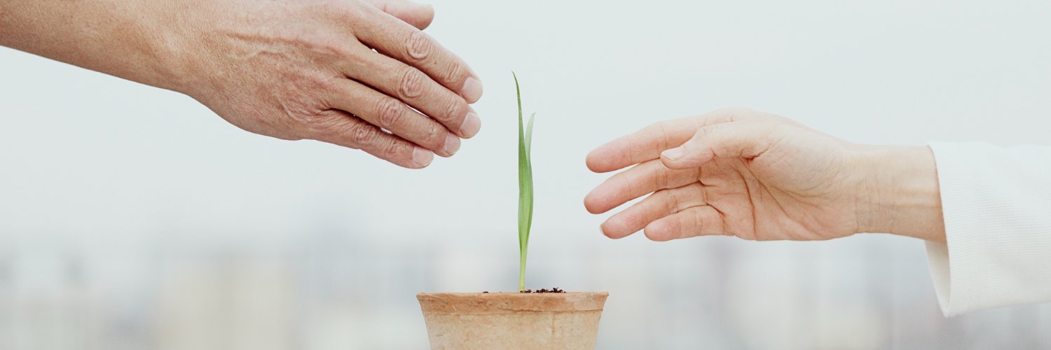 【公式】プロトリーフ banner