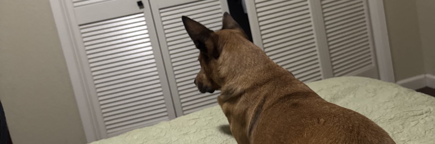 ZackMiles05's profile banner image