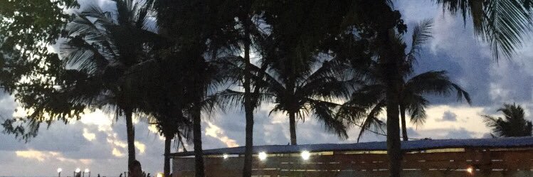 febrianipalii_'s profile banner image