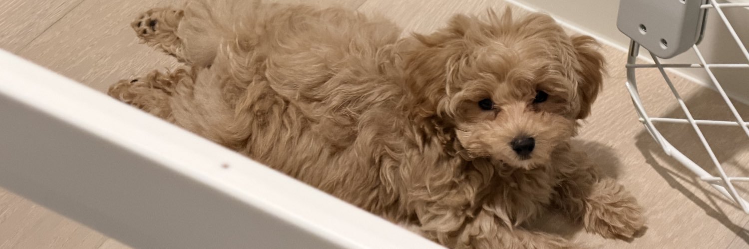 Rithwik Pattikonda banner