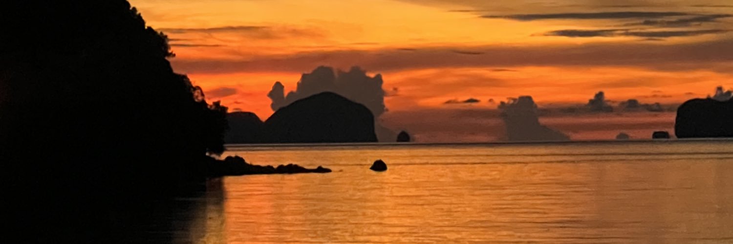 zailaross's profile banner image
