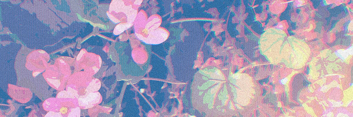Tadanaga_CM's profile banner image