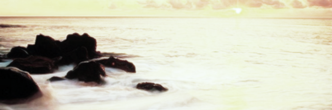 nasceuvesgo's profile banner image