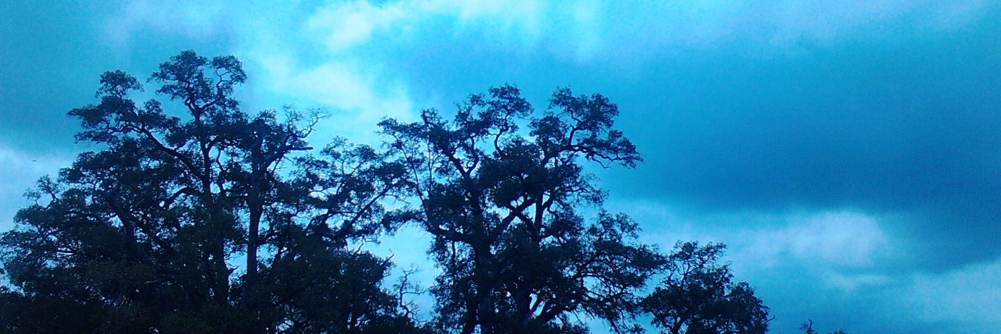 AiniAzizBM's profile banner image