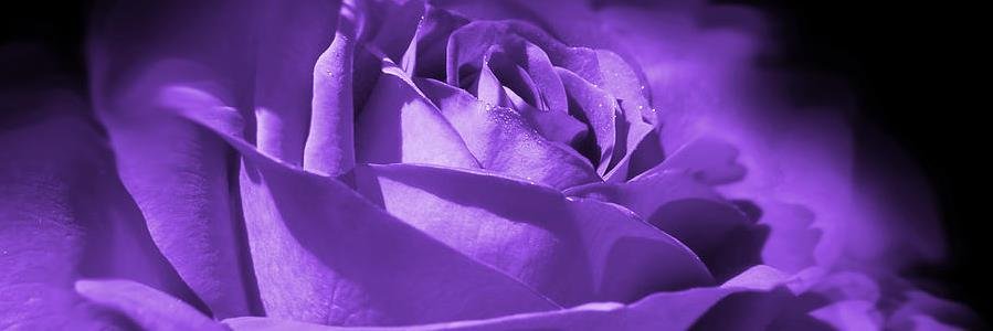 pclband's profile banner image
