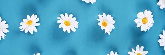 FlorAvend's profile banner image