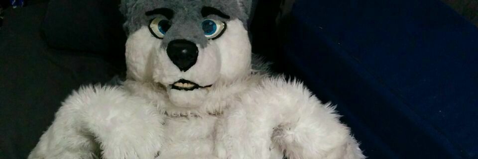 Baby Water Wolf-FWA banner