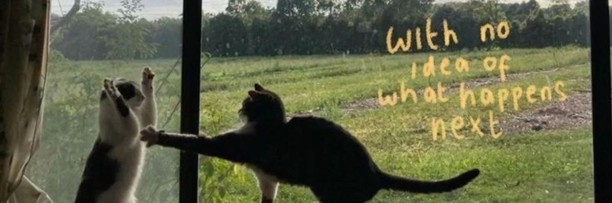 didihepi's profile banner image