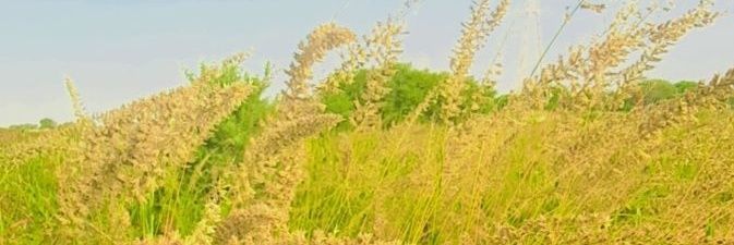 imInoor45's profile banner image