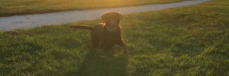 katkayro's profile banner image