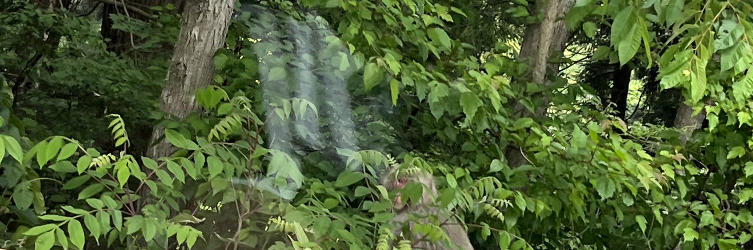 supaman0817's profile banner image