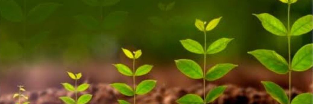 Debasree Sengupta #savesoil #consciousplanet banner